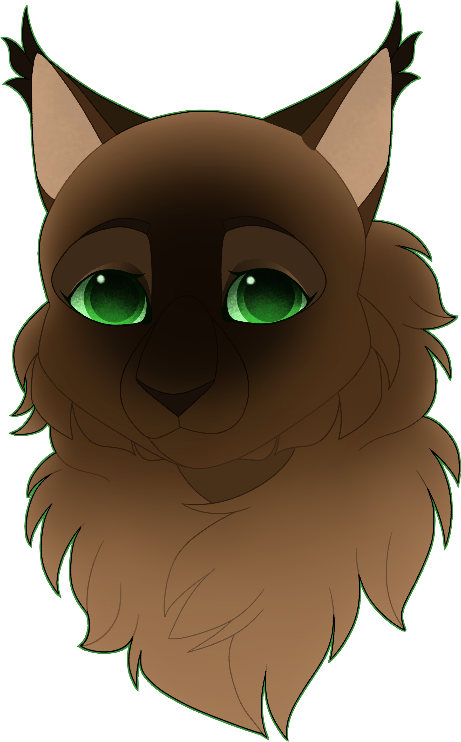 Headshot - Cat (1800x2863), Png Download