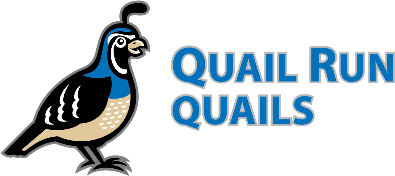 About Quail Run - Quail Run Elementary School In Phx Arizona (1500x803), Png Download