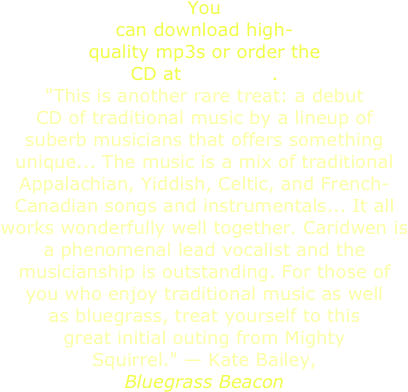 You Can Download High-quality Mp3s Or Order The Cd - Impatient And A Little Insecure (451x445), Png Download