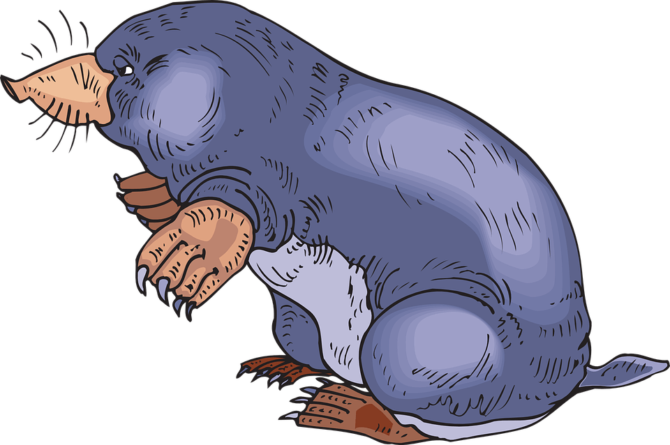 Blue Mole - Mole Images Clip Art (960x638), Png Download