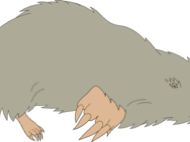 Mole Clipart Mole Hole - Grey (640x480), Png Download