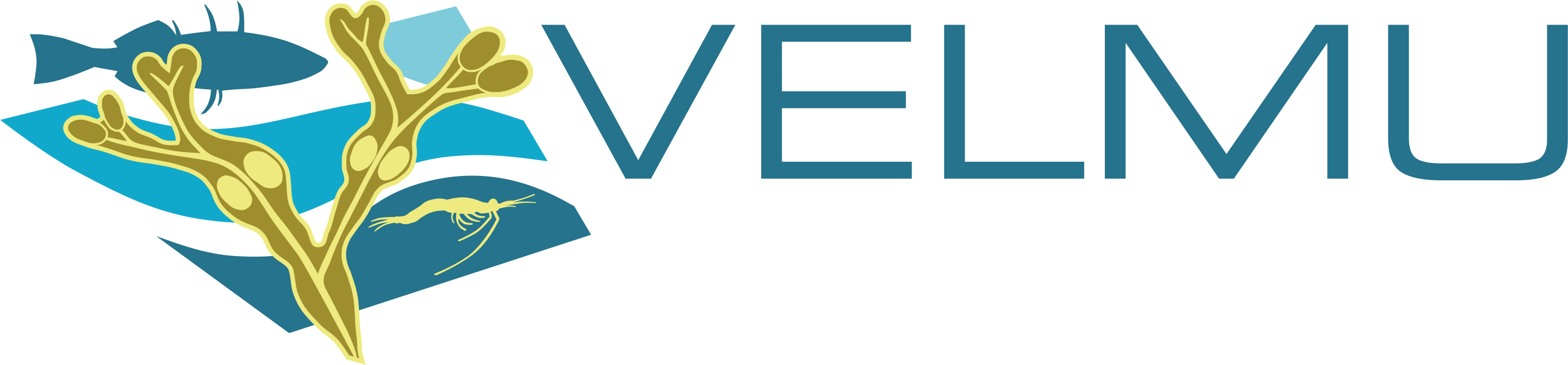 Resources/images/velmu Logo (2874x670), Png Download