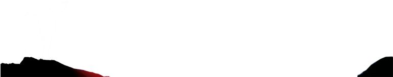 Trafficking In Ecstasy, Molly, Or Mdma In Florida - Parallel (768x160), Png Download