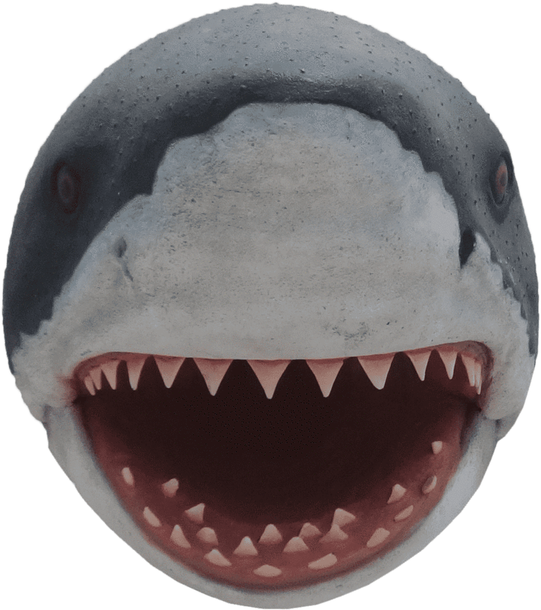 Shark Head Great White Fish Statue - Shark (1000x981), Png Download