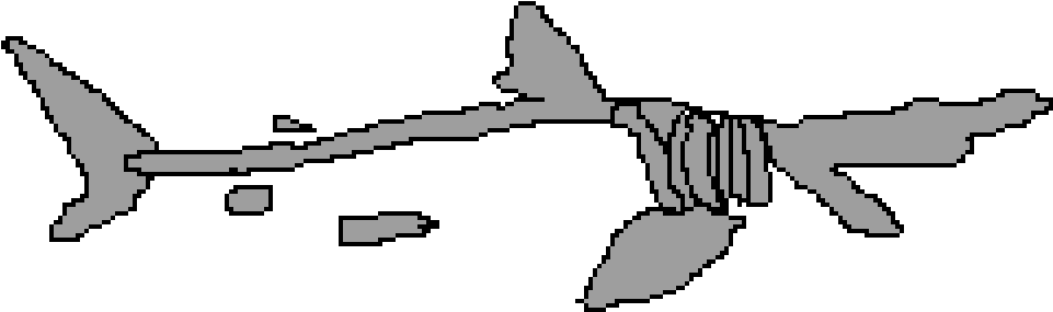 Hammer Head Shark Skull (1024x576), Png Download
