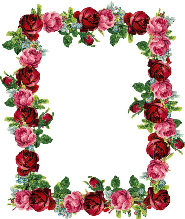 Red Floral Border Png Image - Rose Clip Art Borders (736x874), Png Download