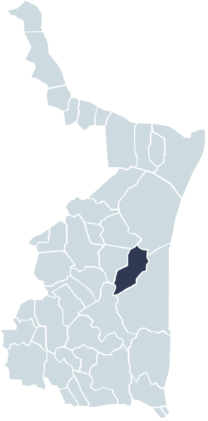 Abasolo Tamaulipas Mapa - Cruillas Municipality (295x598), Png Download