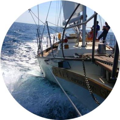 Sons-circular - Catamaran (400x400), Png Download