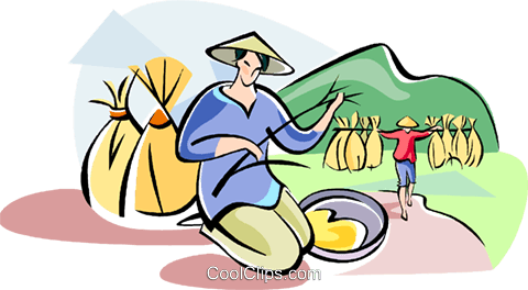 Chinese Farmer Planting Rice Royalty Free Vector Clip - Chinese Farmer Transparent Png (480x264), Png Download