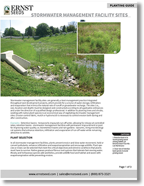 Stormwater Management Printable Planting Guide - Management (310x400), Png Download