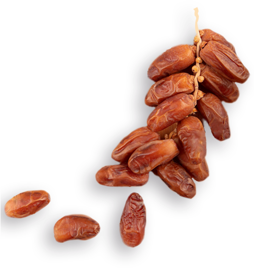 Apis - Application Programming Interface (500x800), Png Download