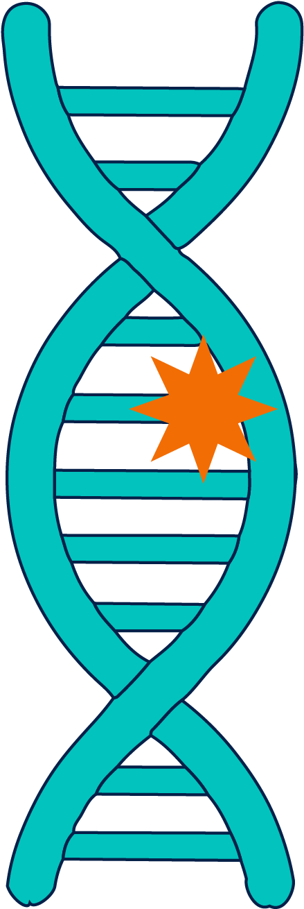 A Mutation In A Gene Refers To A Change In The Underlying - Nikumaroro Island (541x1309), Png Download