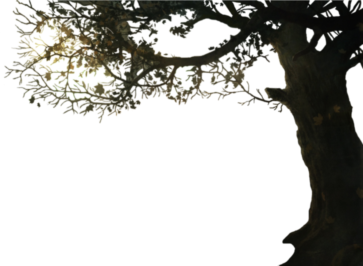 Tutorial On How To Setup Your Zlayers - Tree Branch Border Png (1300x867), Png Download
