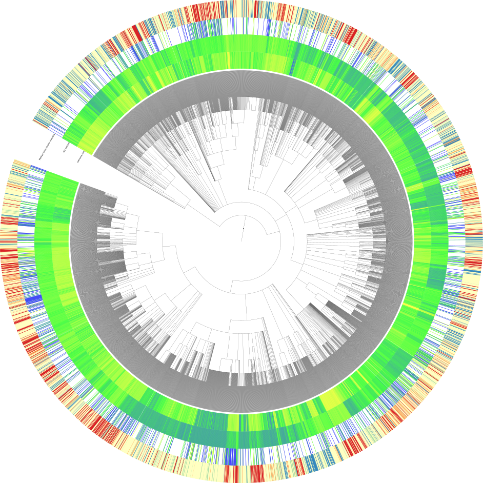 Itol Tree - Disc Brake (942x942), Png Download