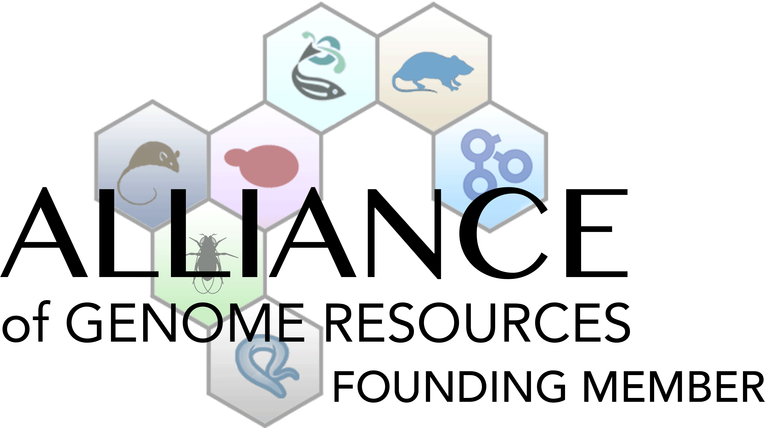 Alliance Of Genome Resources (3472x2083), Png Download