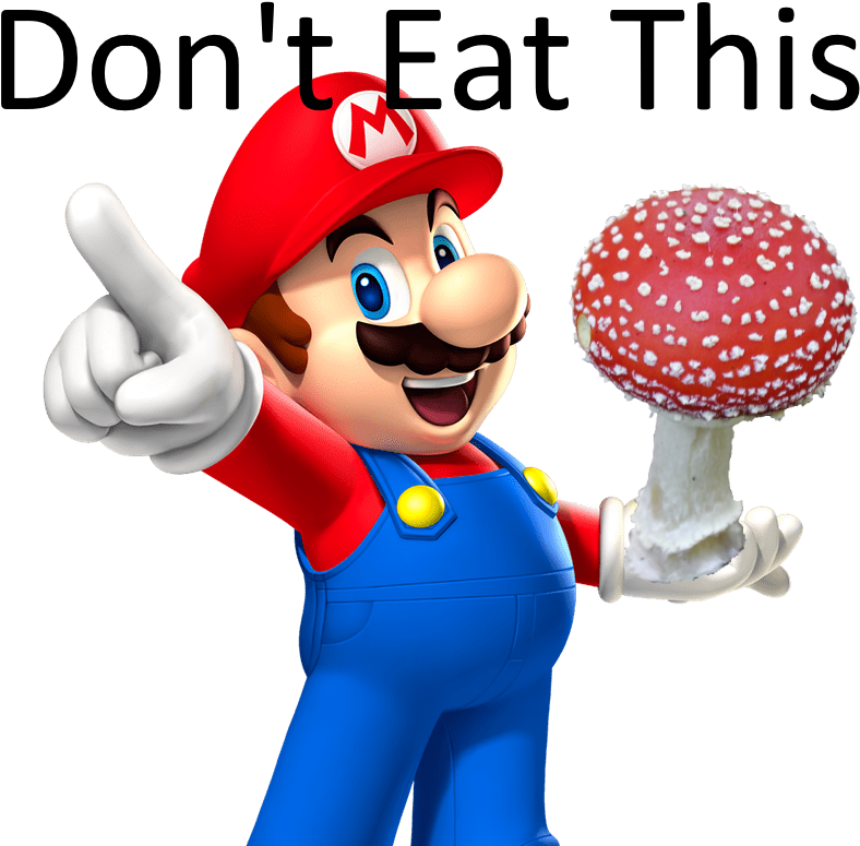 Can Eat A Amanita Muscaria / Super Mushroom Raw - Mario Mario Party 9 (800x779), Png Download