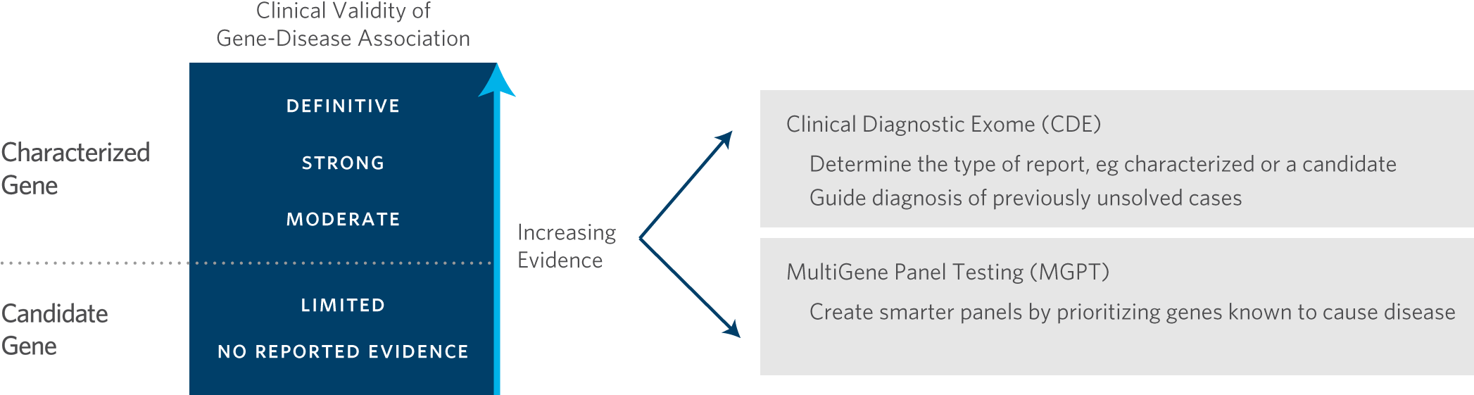 Scoring Is A Tool For Evidence-based, Quality Genetic - Gene (2245x652), Png Download