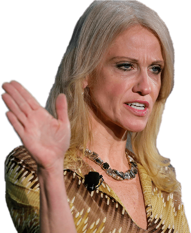 Download - Kellyanne Conway Hands (1180x788), Png Download