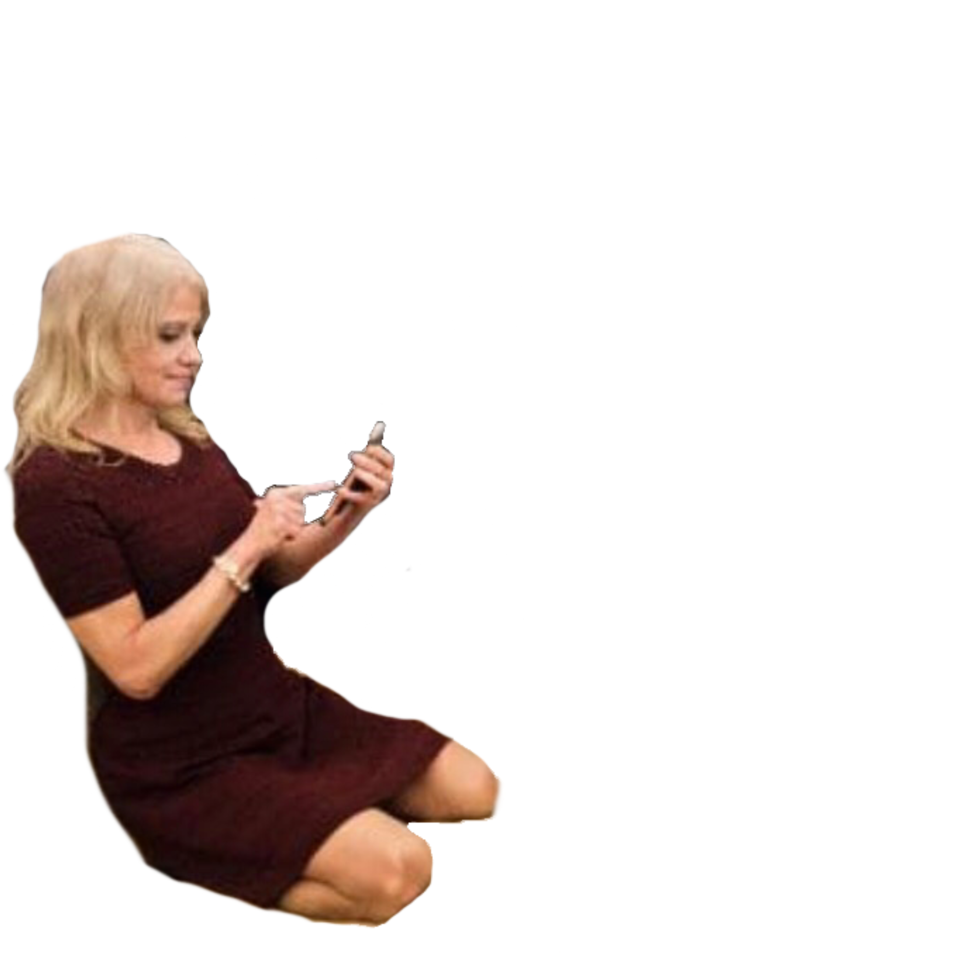 8pbgy8b - Kelly Anne Conway Kissing (3264x3264), Png Download