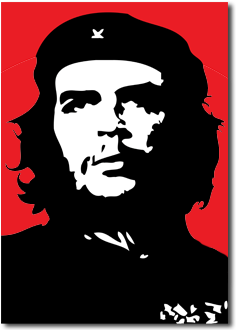 Ernesto "che" Guevara Was A Physician, And Became Revolutionary - Che Guevara (370x340), Png Download