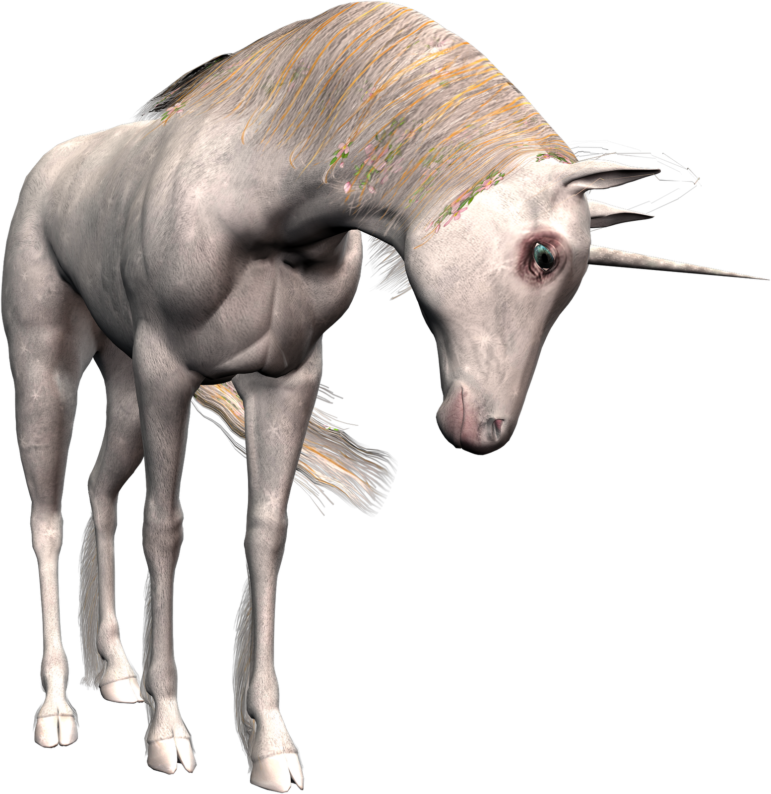 Imágenes Y Gifs De Unicornios - Unicornios Gif Png (1554x1600), Png Download