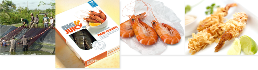 Tiger Prawns - Botan Shrimp (897x260), Png Download