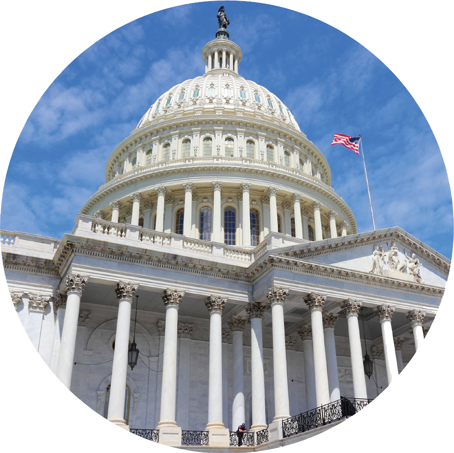 Barnyard Crew Beefs - Poster: Tupungato's Us National Capitol, 61x41cm. (900x899), Png Download