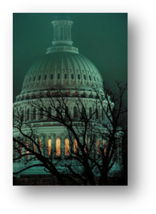 Capital Image - Trader Of Secrets: A Paul Madriani Novel (paul Madriani (333x450), Png Download