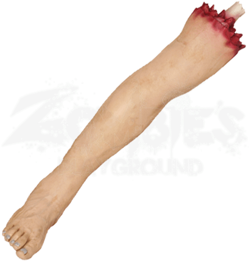 Severed Leg - Severed Leg Transparent (550x550), Png Download