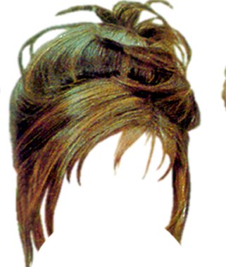 Pelucas Png Para Photoshop - Insect (321x379), Png Download