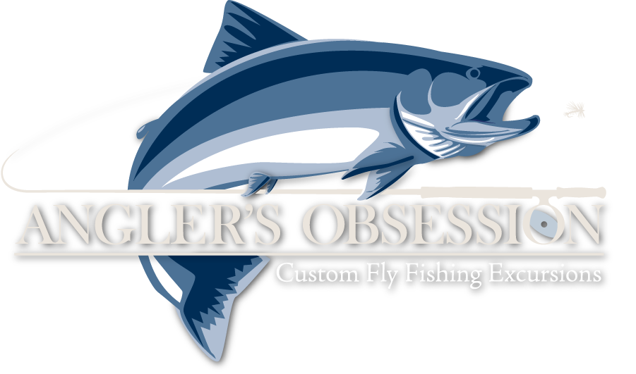 Fly Fishing Guide - Cetacea (901x531), Png Download