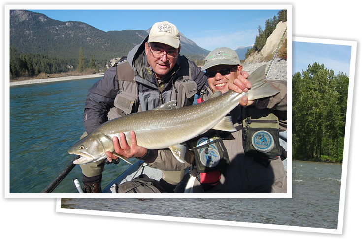 Guided Fly Fishing Trip - Kootenay Fly Shop & Guiding Co. (750x500), Png Download