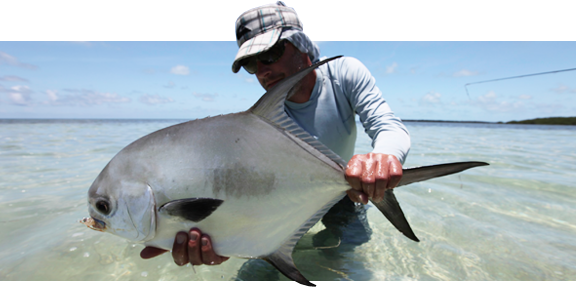 Permit On The Fly (576x287), Png Download