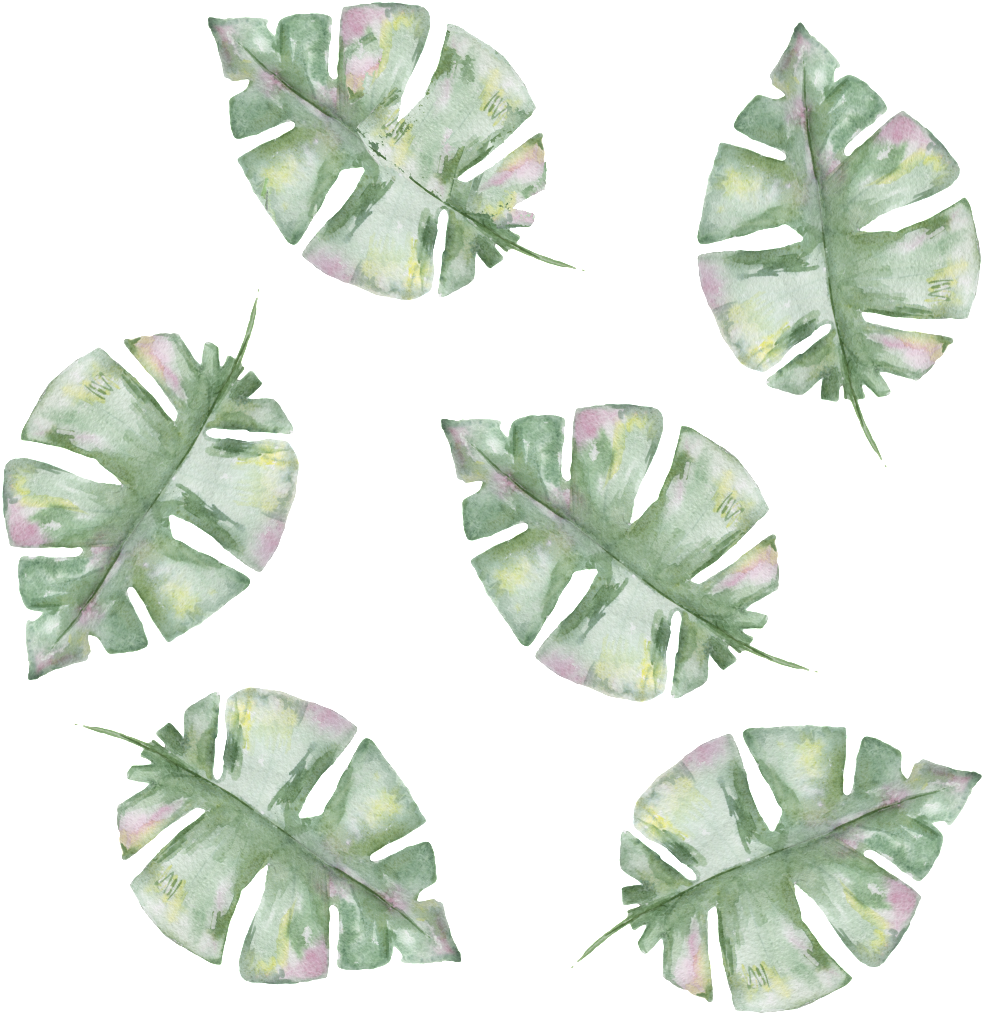 Png Transparente Para Verde Pintada A Mano Las Hojas - Portable Network Graphics (1024x1024), Png Download