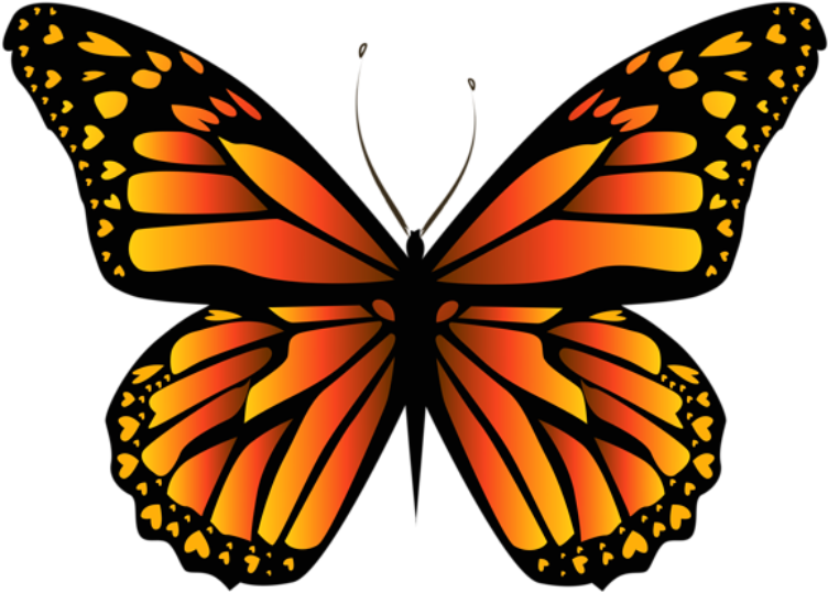 Borboletas Borboleta Tons De Laranja E Preta Png - Monarch Butterfly (779x578), Png Download