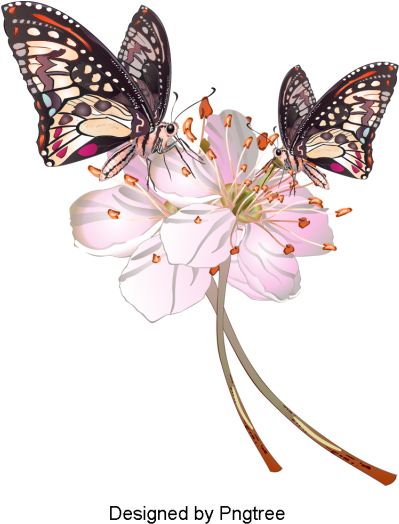 Desenho Pintado À Mão Borboleta Padrão De Design - Cartoon (640x640), Png Download