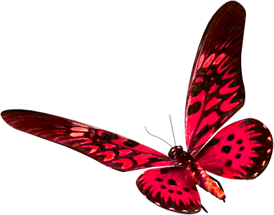 15 De Mai De - Monsters Of The Ray (392x309), Png Download