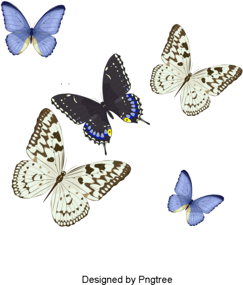 Desenho Pintado À Mão Borboleta Padrão De Design - Comics (640x640), Png Download