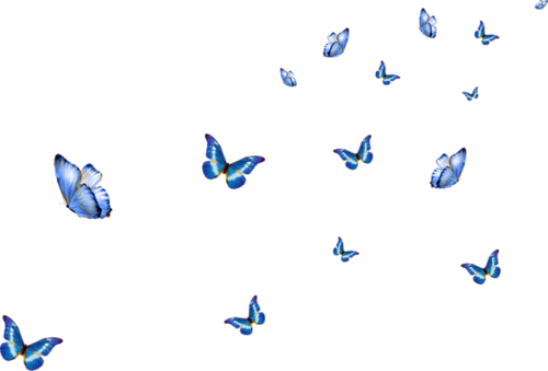 0 10737a E4a809d1 L - Papillons En Png (500x339), Png Download