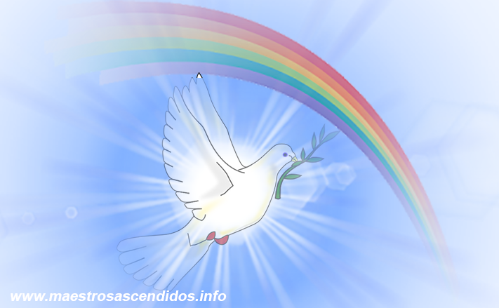 Paloma De La Paz - Doves As Symbols (711x439), Png Download