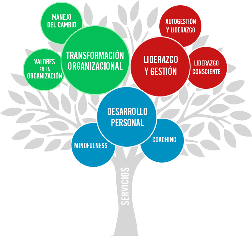 Silvio Raij Árbol De Servicios - Arbol De Desarrollo Personal (876x820), Png Download