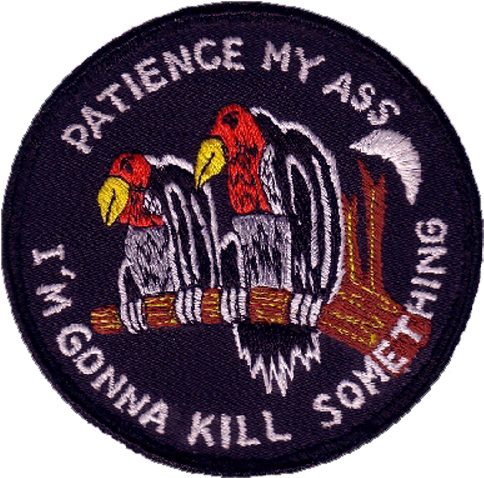 Kill Png Transparent Patch Buzzard Vulture - Patience My Ass I M Gonna Kill Something (500x488), Png Download