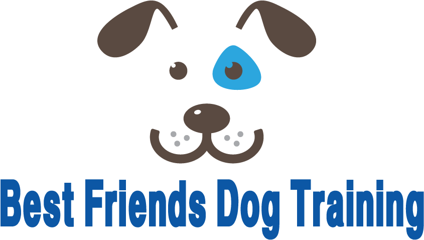 Best Friends Dog Training In Pittsburgh, Pa - Best Dog Training Logos (958x567), Png Download