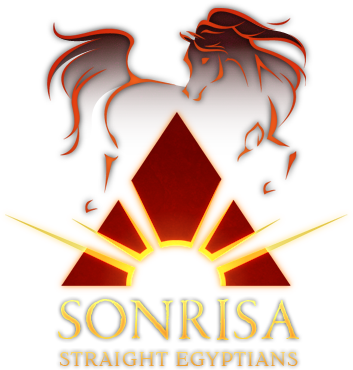 Nestled In Peralta, Nm, Sonrisa Farms Boasts An Extraordinary - Poster (353x370), Png Download