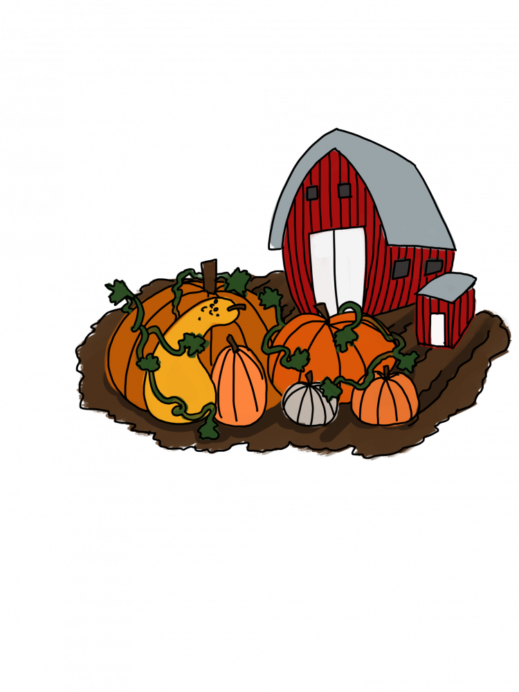 4 Pumpkin Patches To Visit Near Athens This October - Pumpkin (750x1000), Png Download