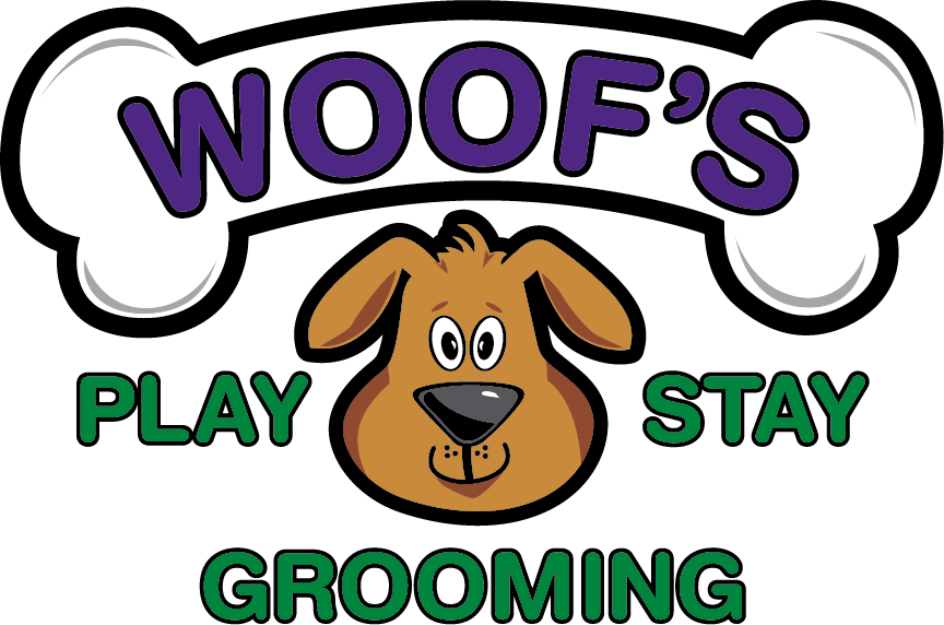 Dog Logo Png (864x572), Png Download