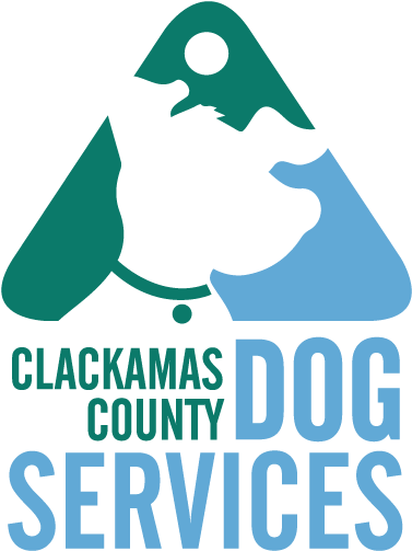 Ccds Logo - Stencil Disney Pumpkin Carvings (409x515), Png Download