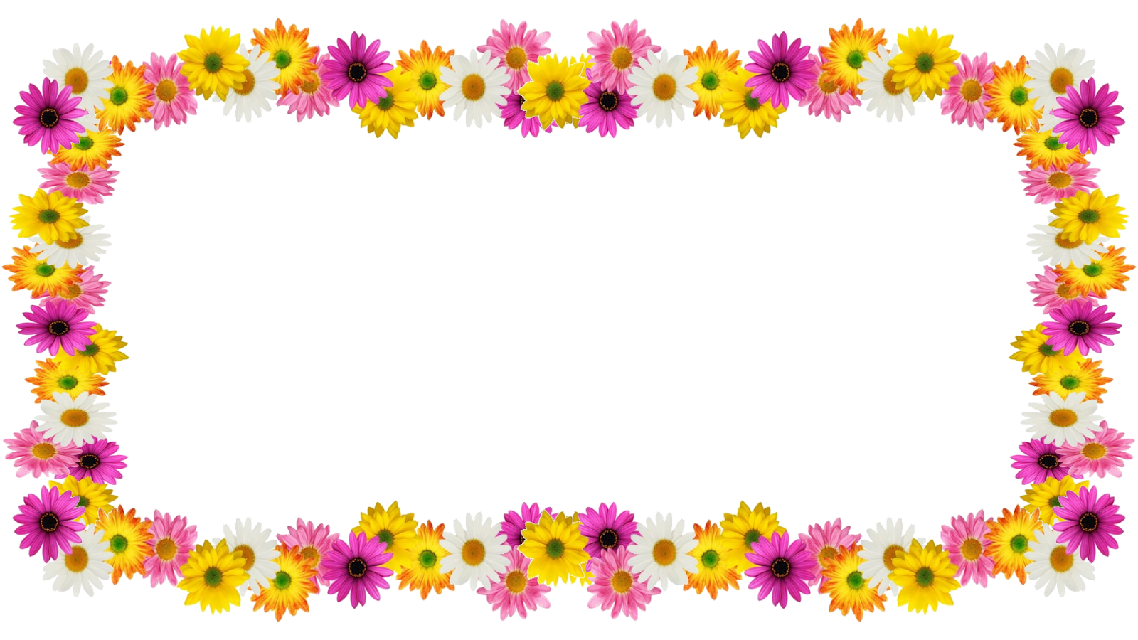 Moldura De Flores Fundo Transparente (1600x900), Png Download