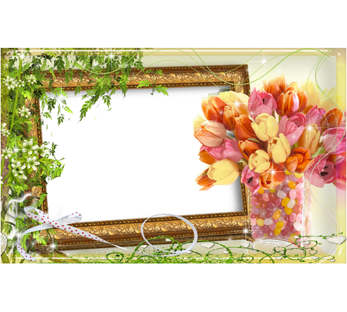 Your Photo Photo Frame - Wallpaper (500x450), Png Download