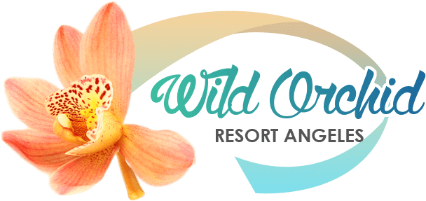 Wild Orchid Resort Angeles - Anthurium (700x344), Png Download
